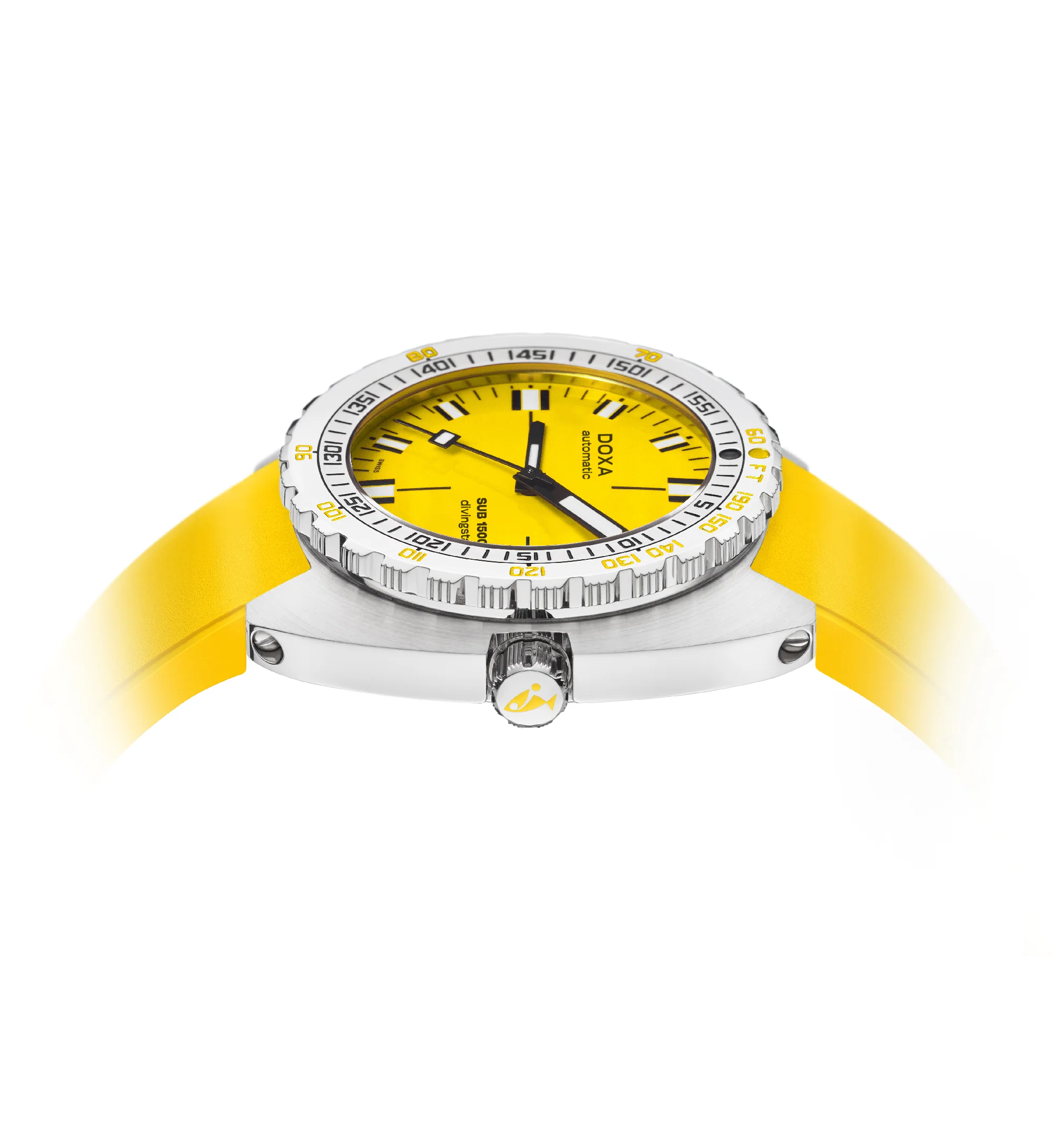 Divingstar - Image 6