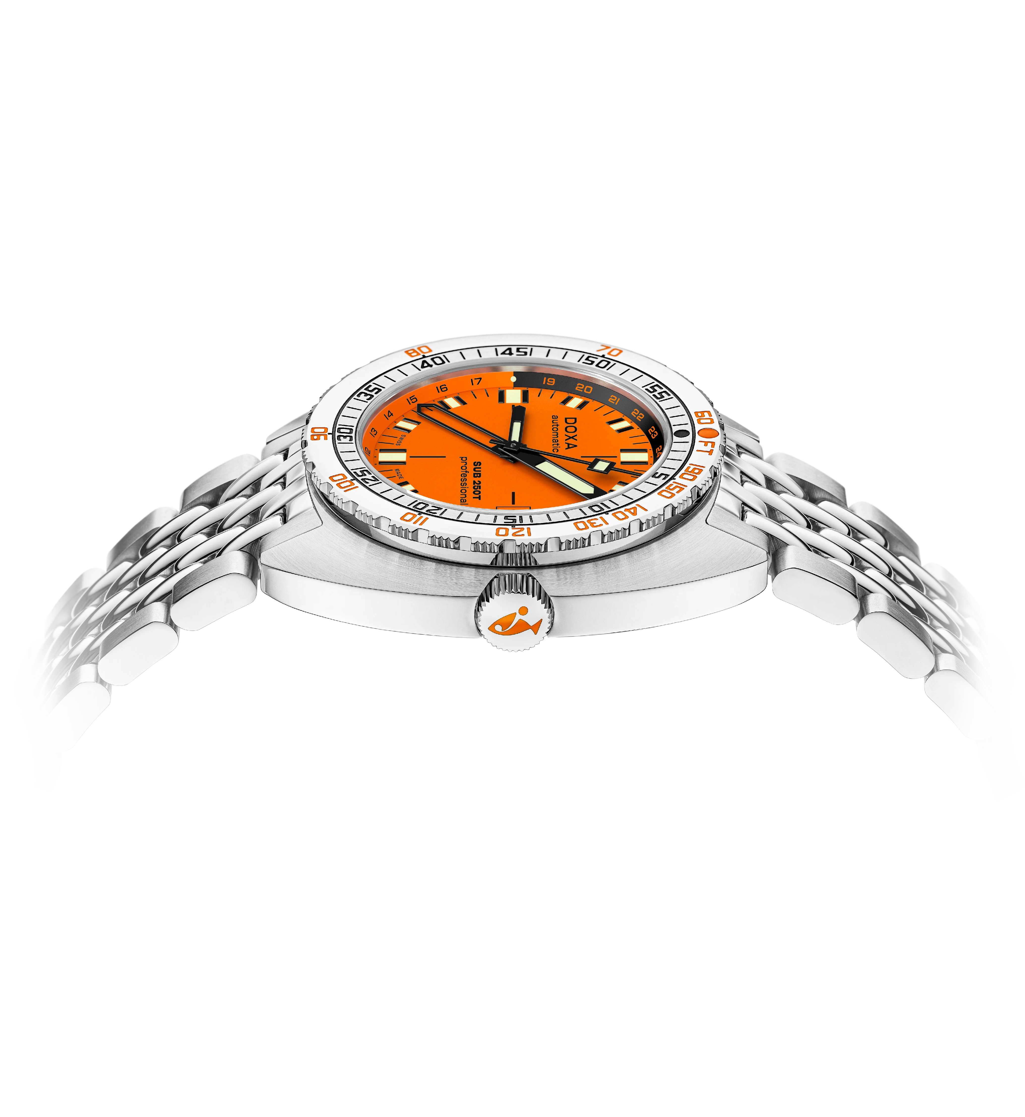 Professional - Image 3