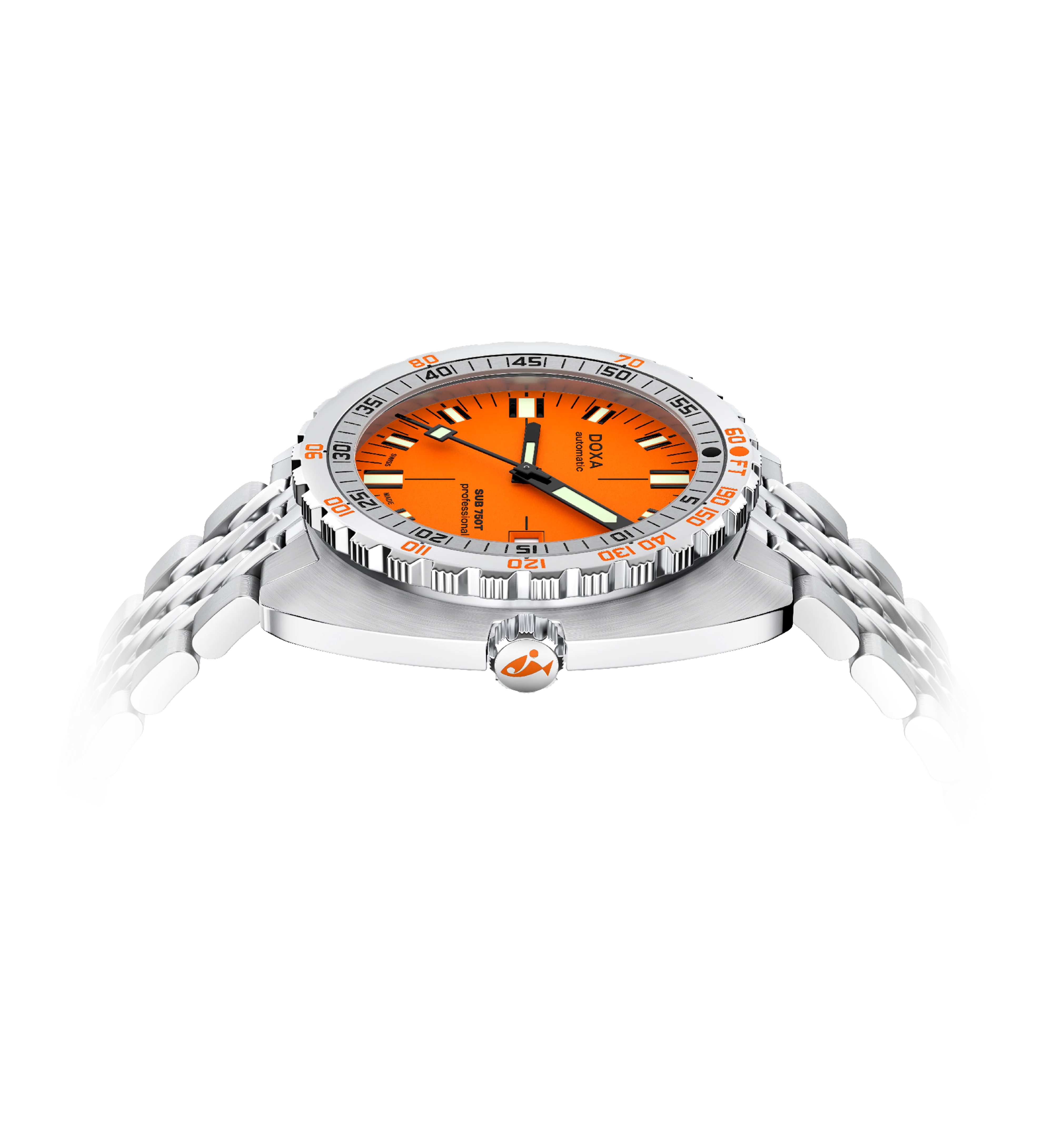 Professional - Image 4