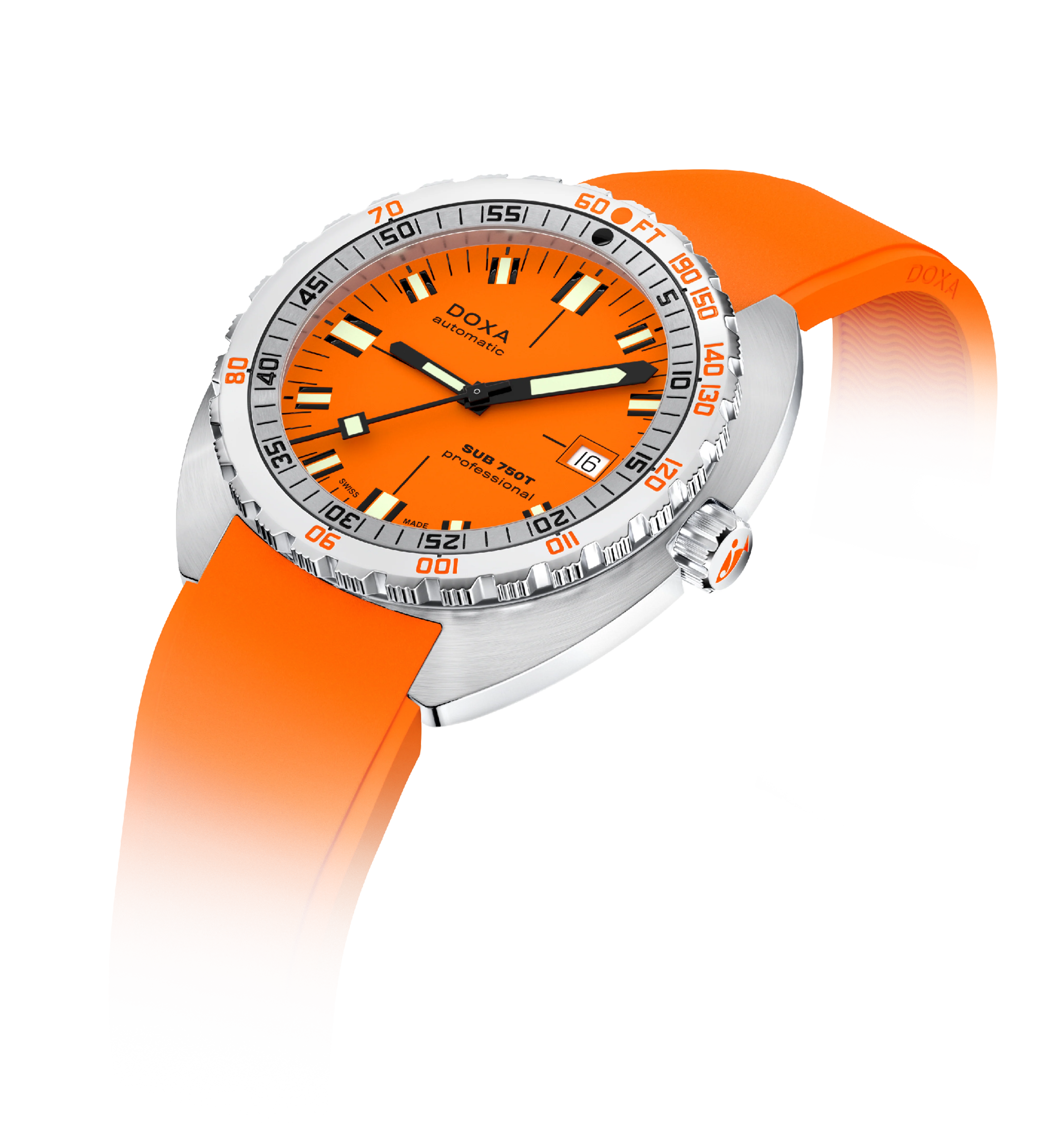 Professional - Image 5