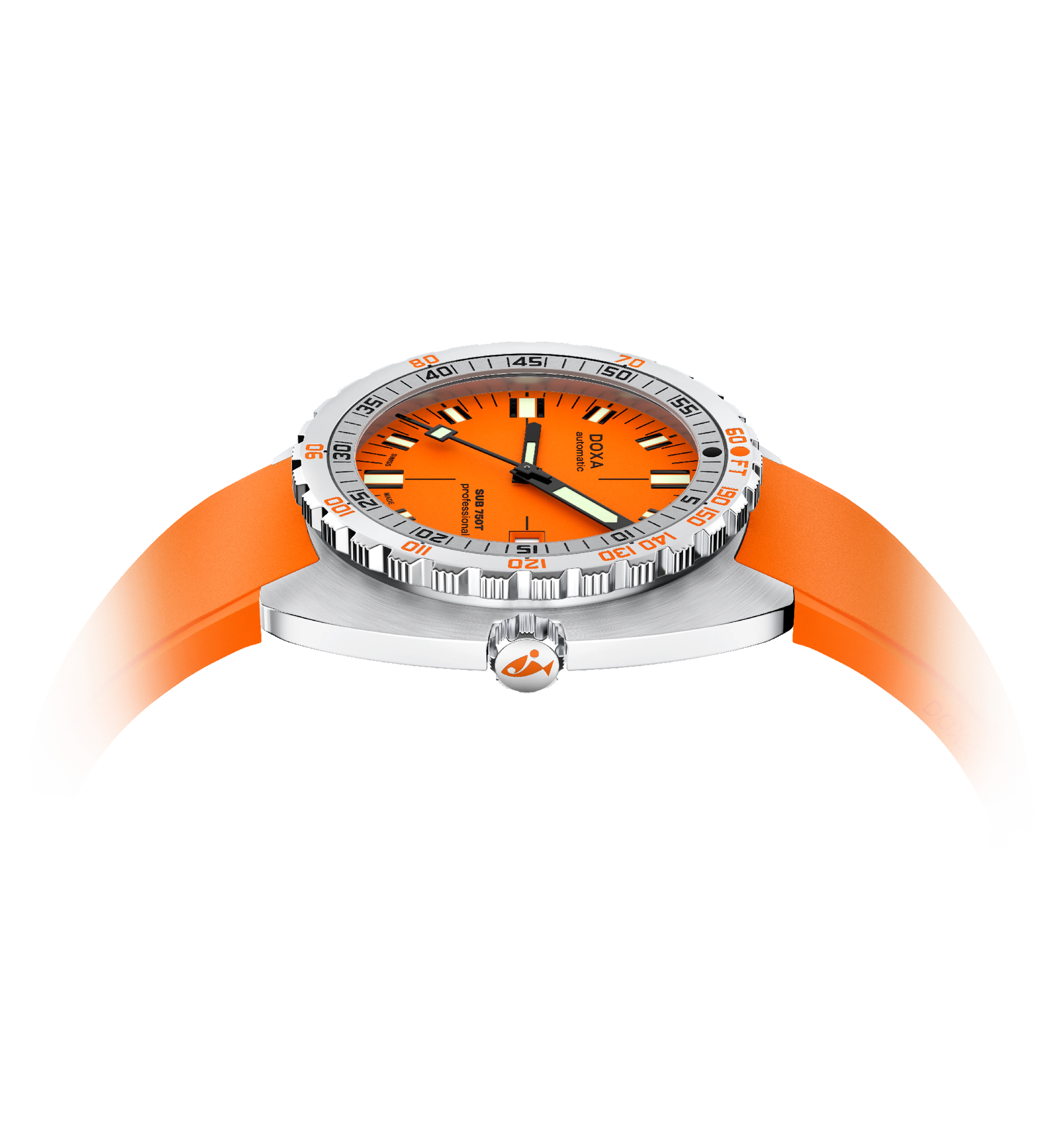 Professional - Image 6